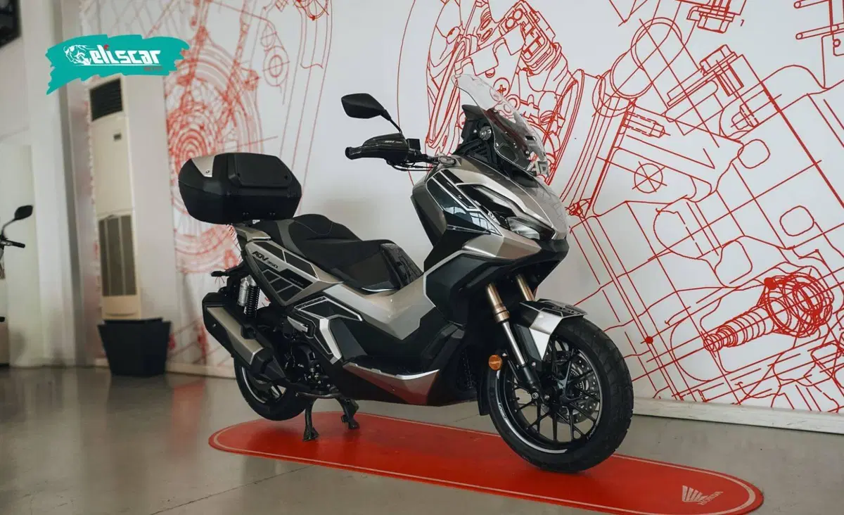 Honda ADV 350 (2022 - 24) (2)
