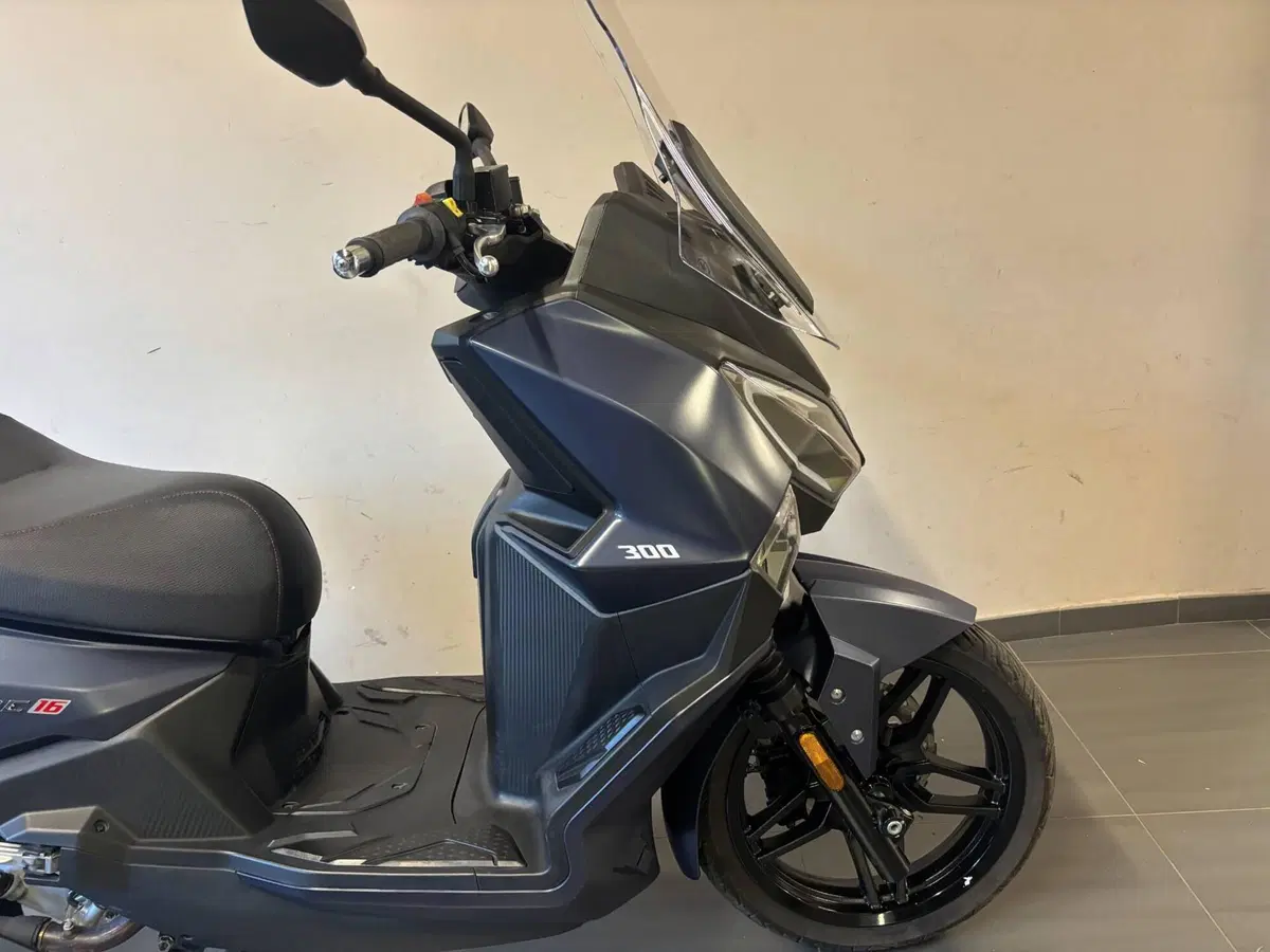Sym Joyride 300 (2022 - 24) (9)