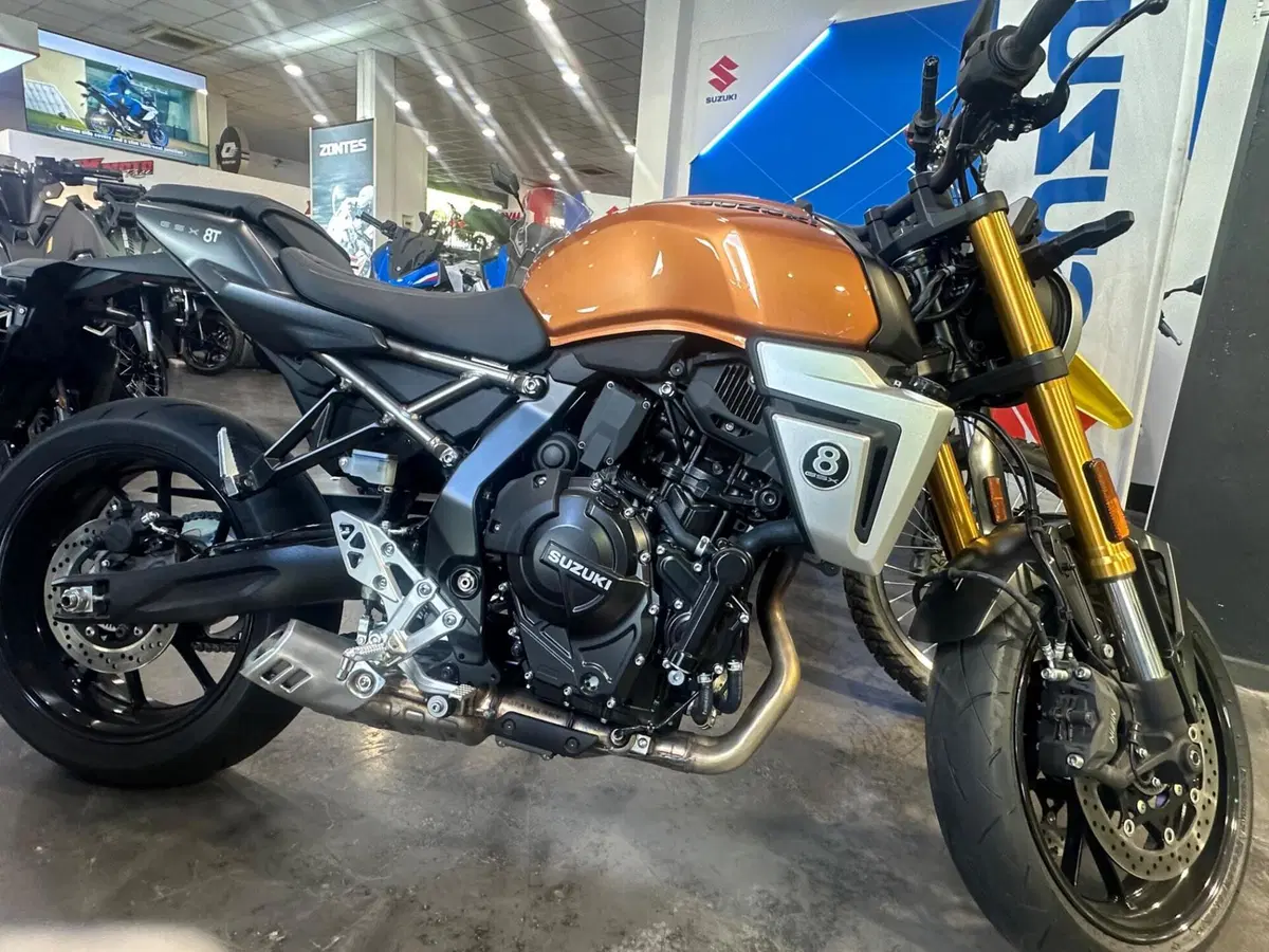 Suzuki GSX-8T (2025 - 26)