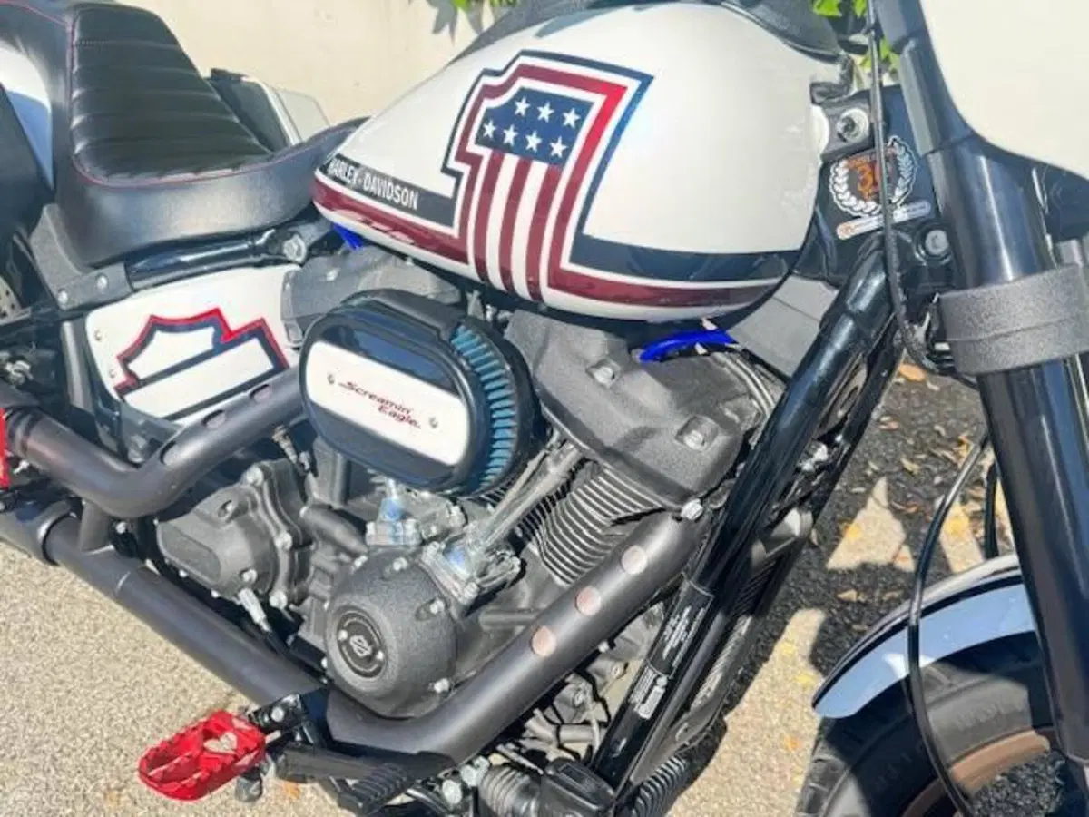 Harley-Davidson 114 Low Rider S (2021) - FXLRS (10)