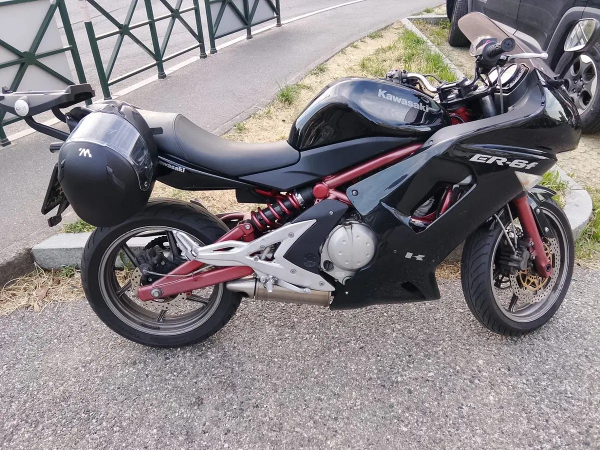 Kawasaki ER-6F (2006 - 08) (4)
