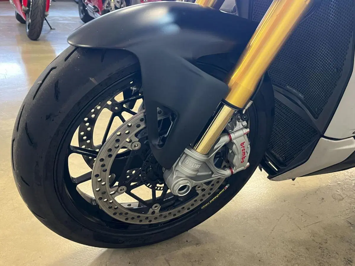 Ducati Streetfighter V4 1100 S (2021 - 22) (3)