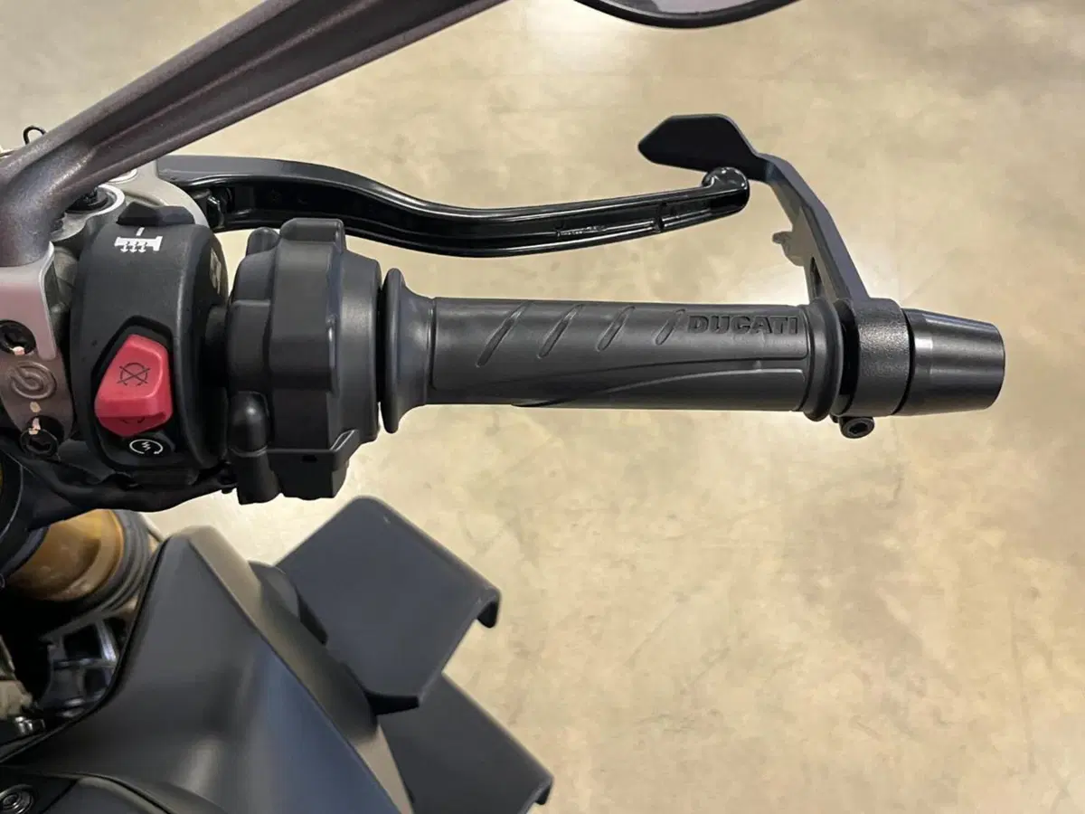 Ducati Streetfighter V4 1100 S (2021 - 22) (11)