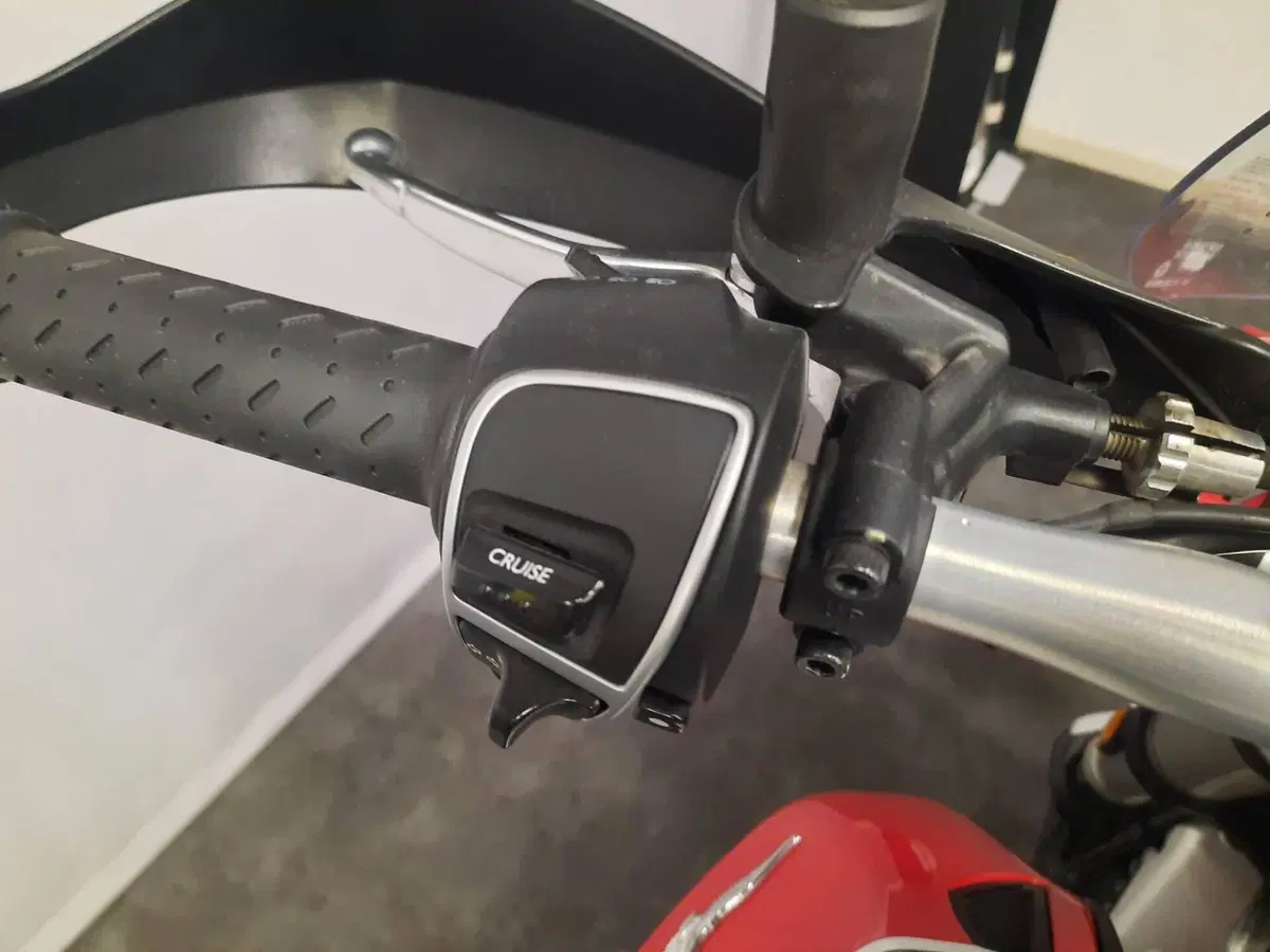 Moto Guzzi V85 TT (2019 - 20) (8)