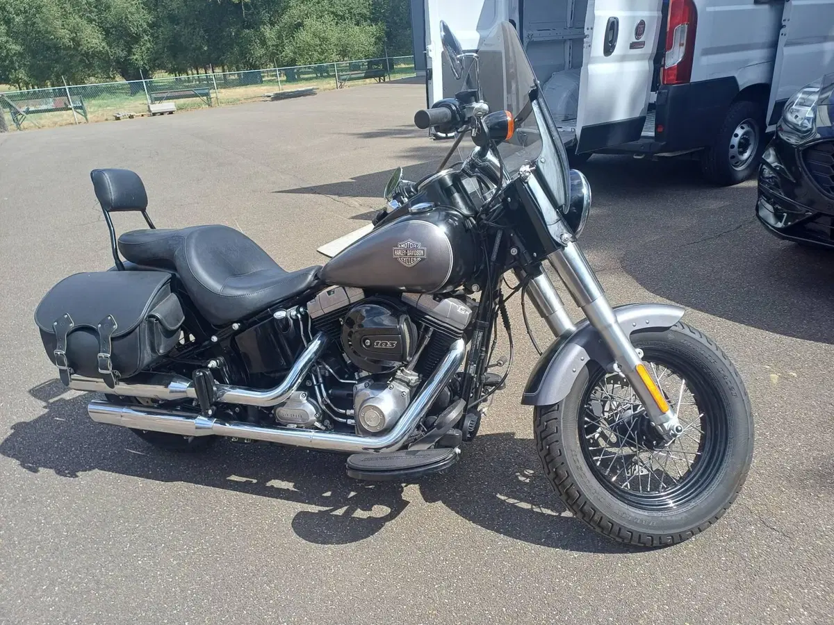 Harley-Davidson 1690 Slim (2011 - 16) - FLS (3)