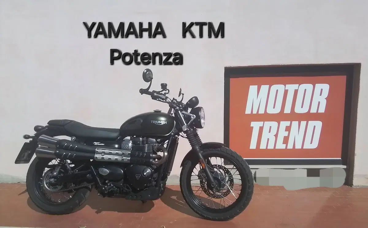 Triumph Street Scrambler 900 (2019 - 20)