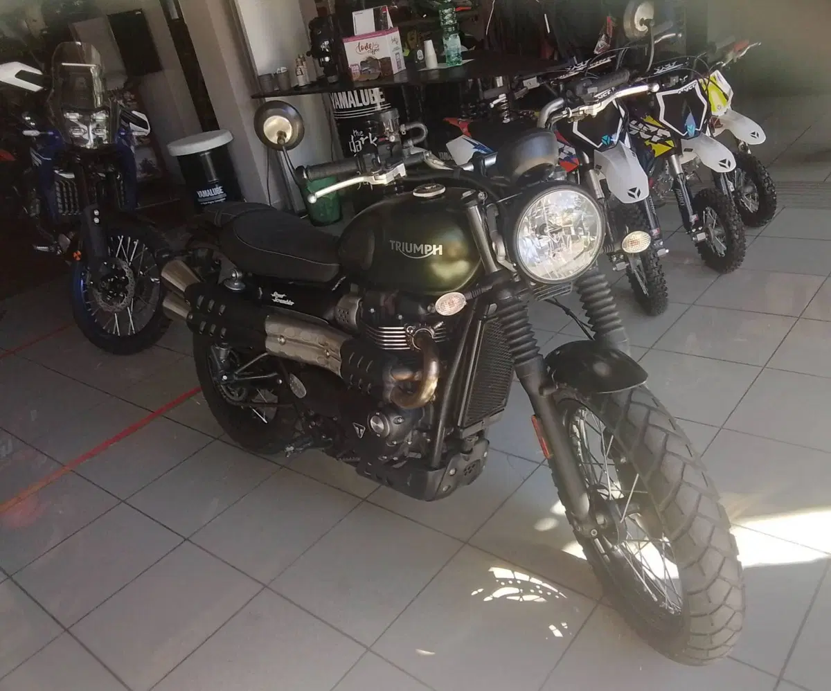 Triumph Street Scrambler 900 (2019 - 20) (9)