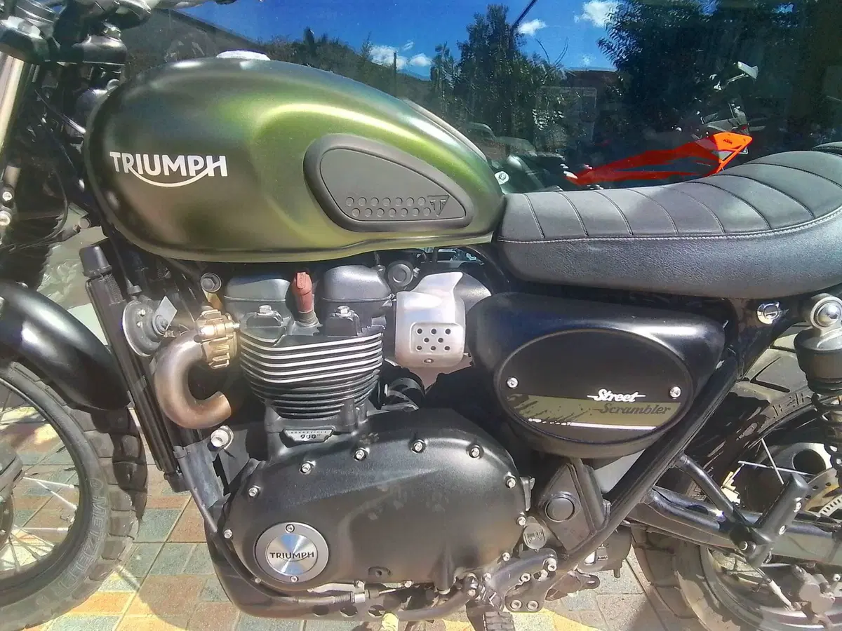Triumph Street Scrambler 900 (2019 - 20) (17)