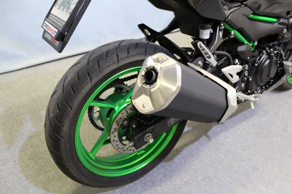 Kawasaki Z 500 SE (2024 - 26) (6)