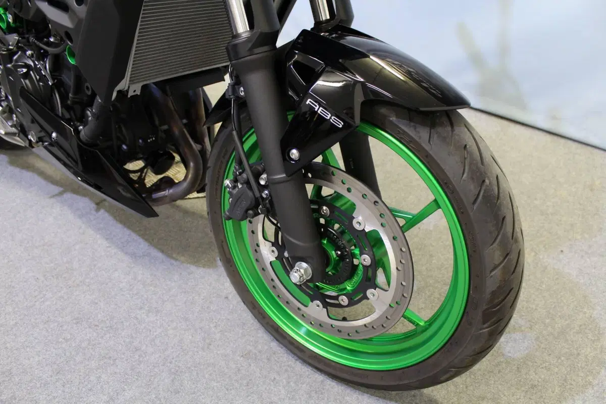 Kawasaki Z 500 SE (2024 - 26) (8)