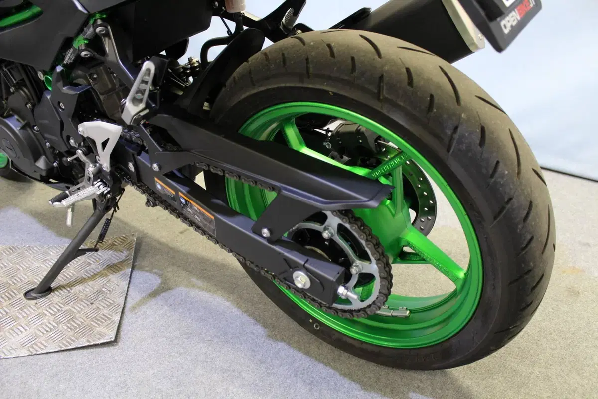 Kawasaki Z 500 SE (2024 - 26) (16)