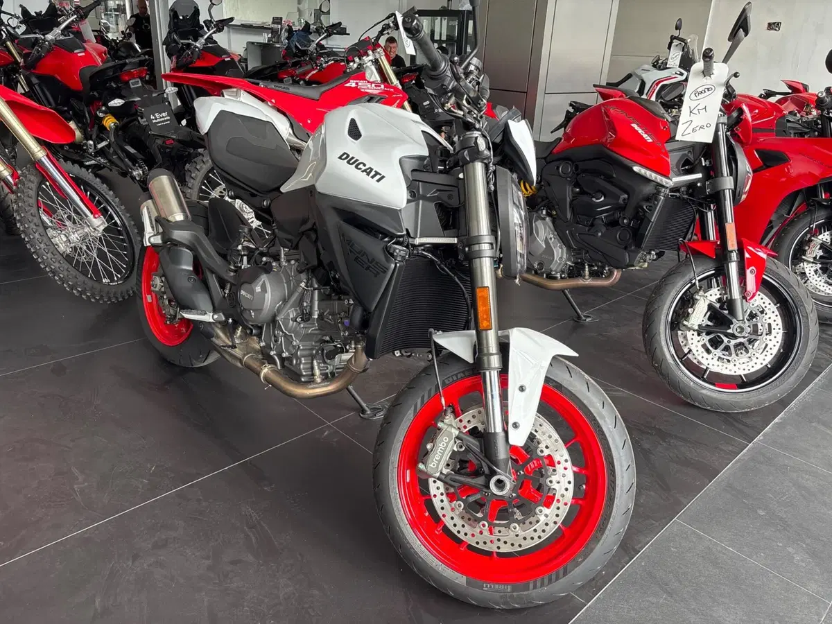 Ducati Monster 890 + (2026) (2)