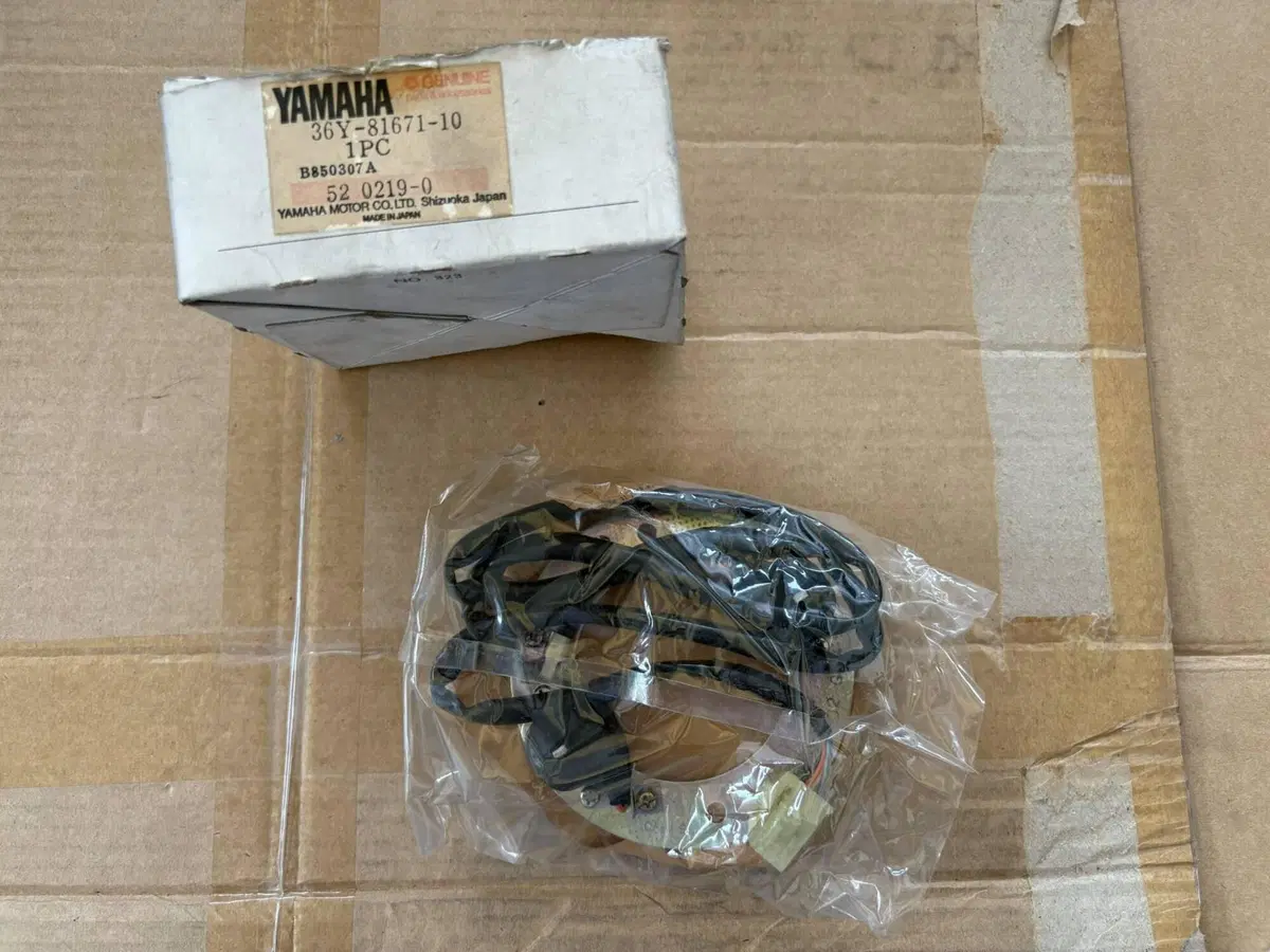 Pick up Yamaha (2)