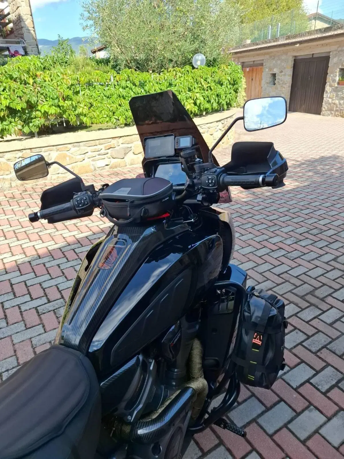 Harley-Davidson Pan America 1250 Special (2020 - 25) (4)
