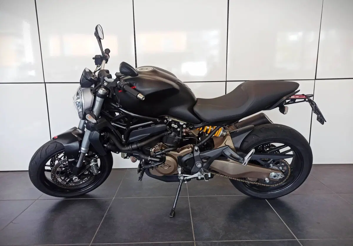 Ducati Monster 821 Dark ABS (2014 - 16) (7)