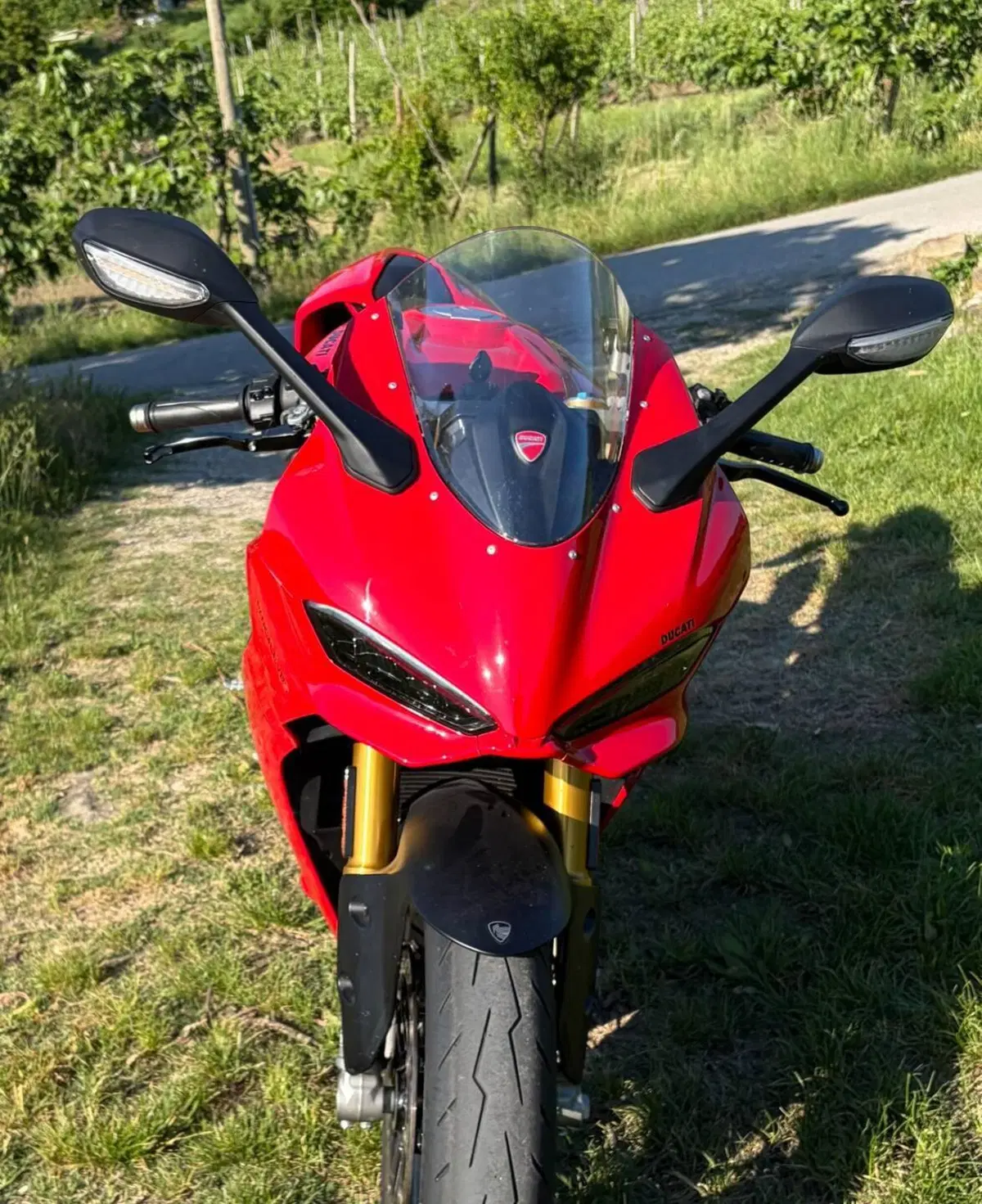 Ducati Panigale V2 S (2025 - 26) (2)