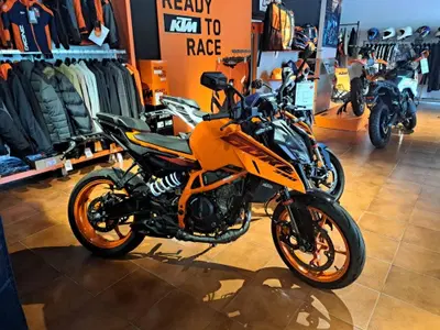 KTM 390 Duke (2024 - 25) nuova