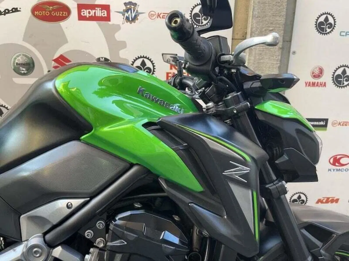 Kawasaki Z 900 (2017 - 18) (16)
