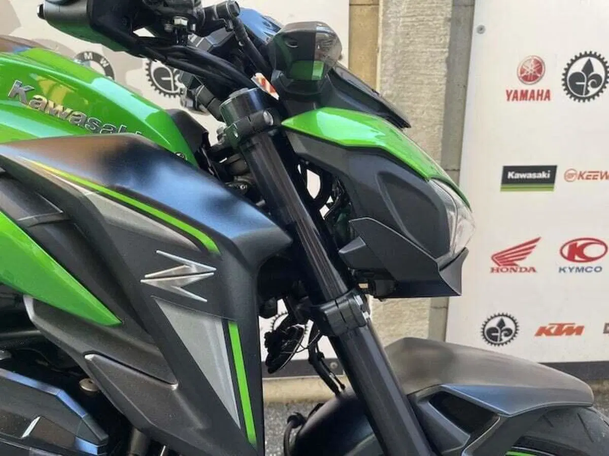 Kawasaki Z 900 (2017 - 18) (17)