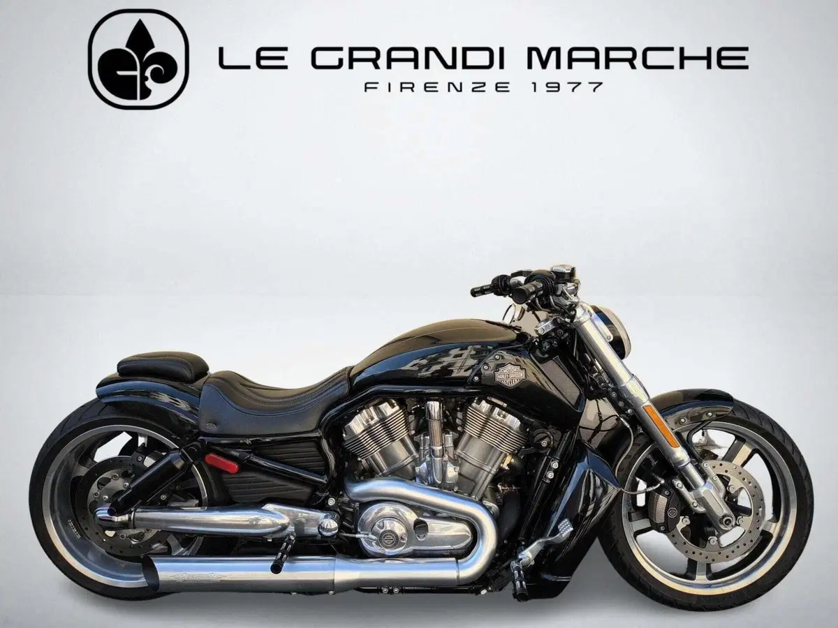 Harley-Davidson 1250 V-Rod Muscle (2009 - 17) - VRSCF