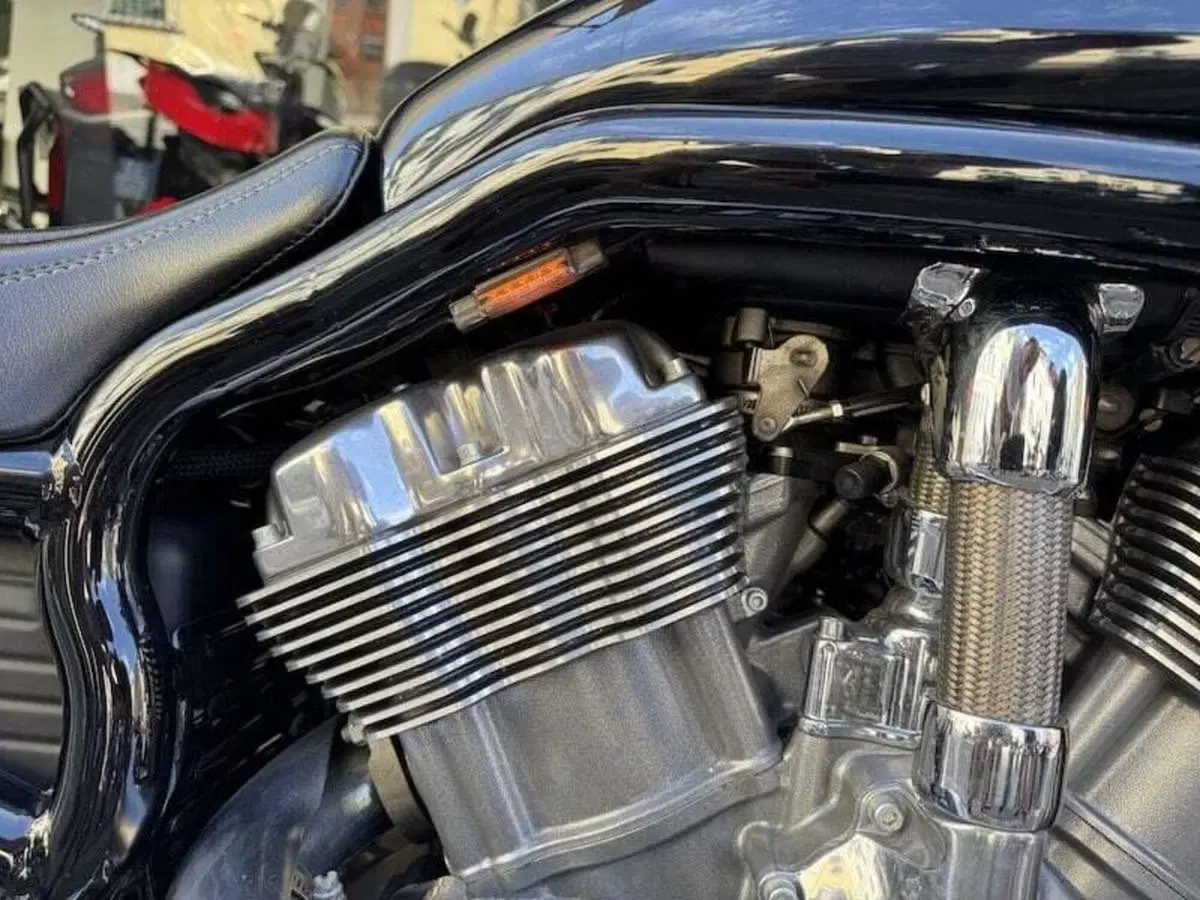 Harley-Davidson 1250 V-Rod Muscle (2009 - 17) - VRSCF (11)