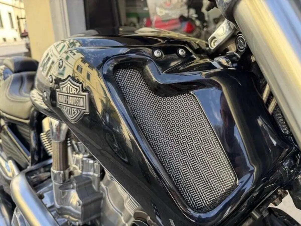 Harley-Davidson 1250 V-Rod Muscle (2009 - 17) - VRSCF (14)