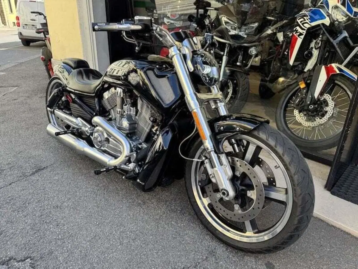 Harley-Davidson 1250 V-Rod Muscle (2009 - 17) - VRSCF (15)