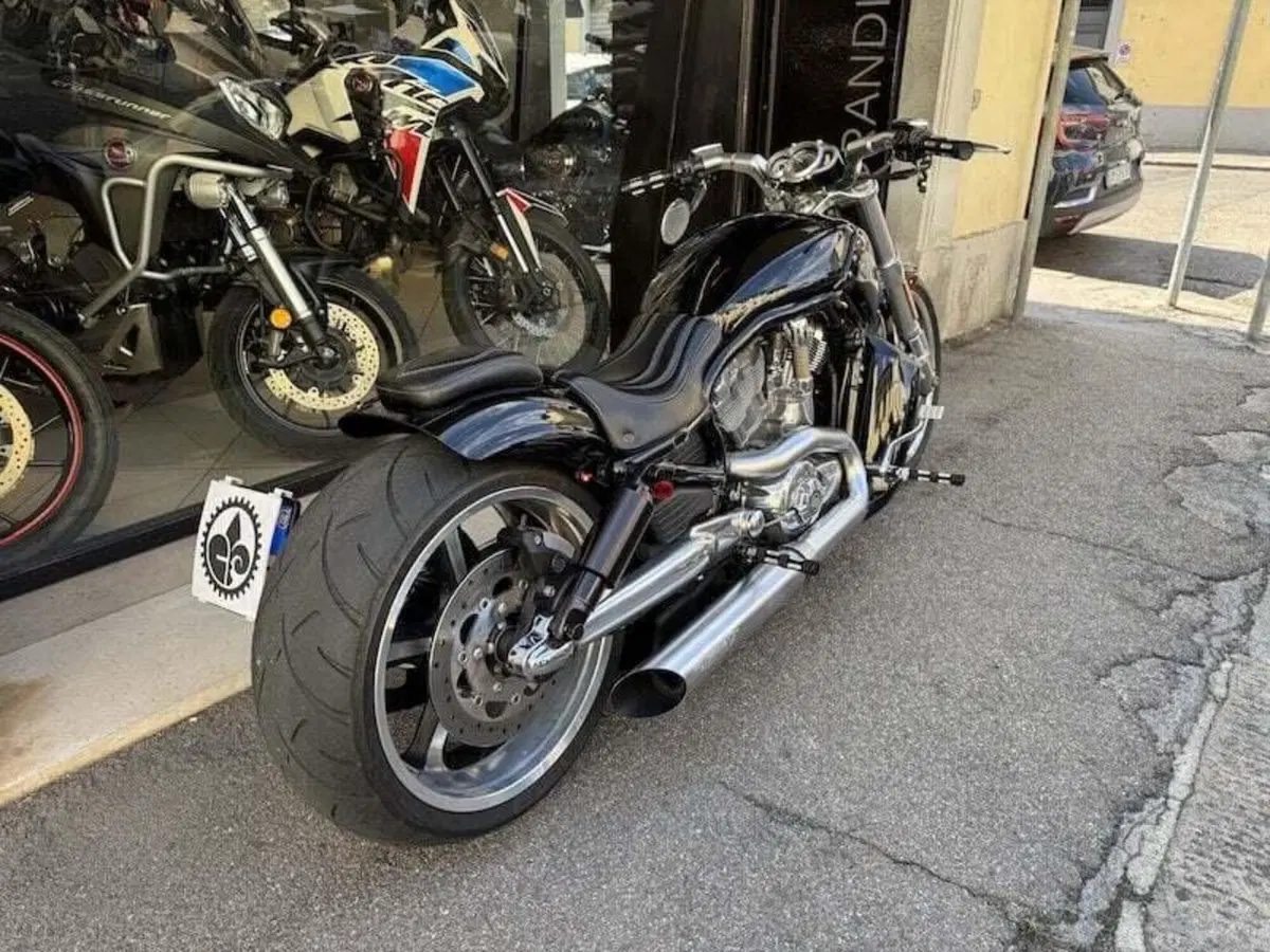 Harley-Davidson 1250 V-Rod Muscle (2009 - 17) - VRSCF (16)