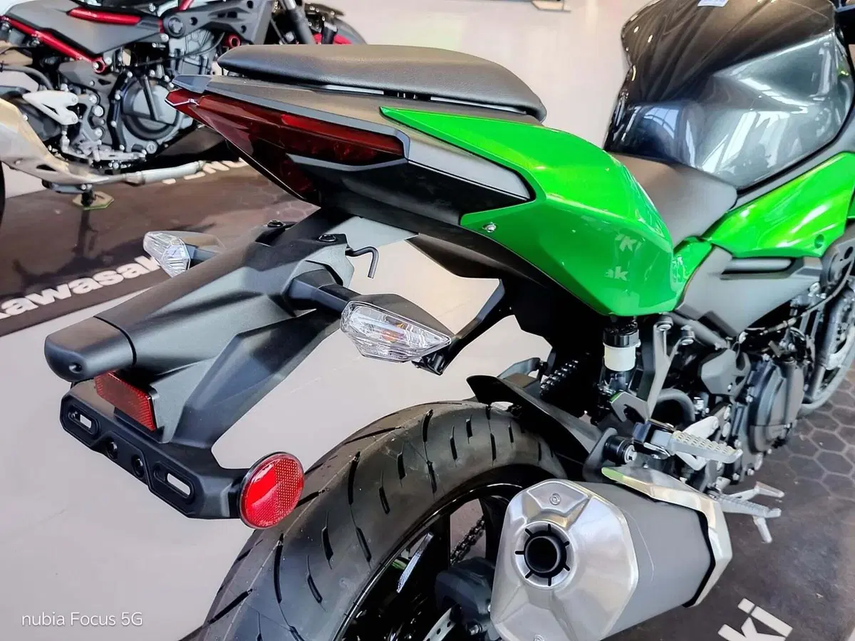 Kawasaki Z 500 (2024 - 26) (2)