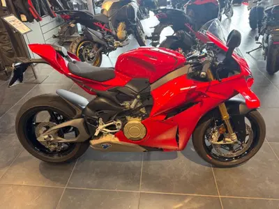 Ducati Panigale V4 S (2025 - 26) usata