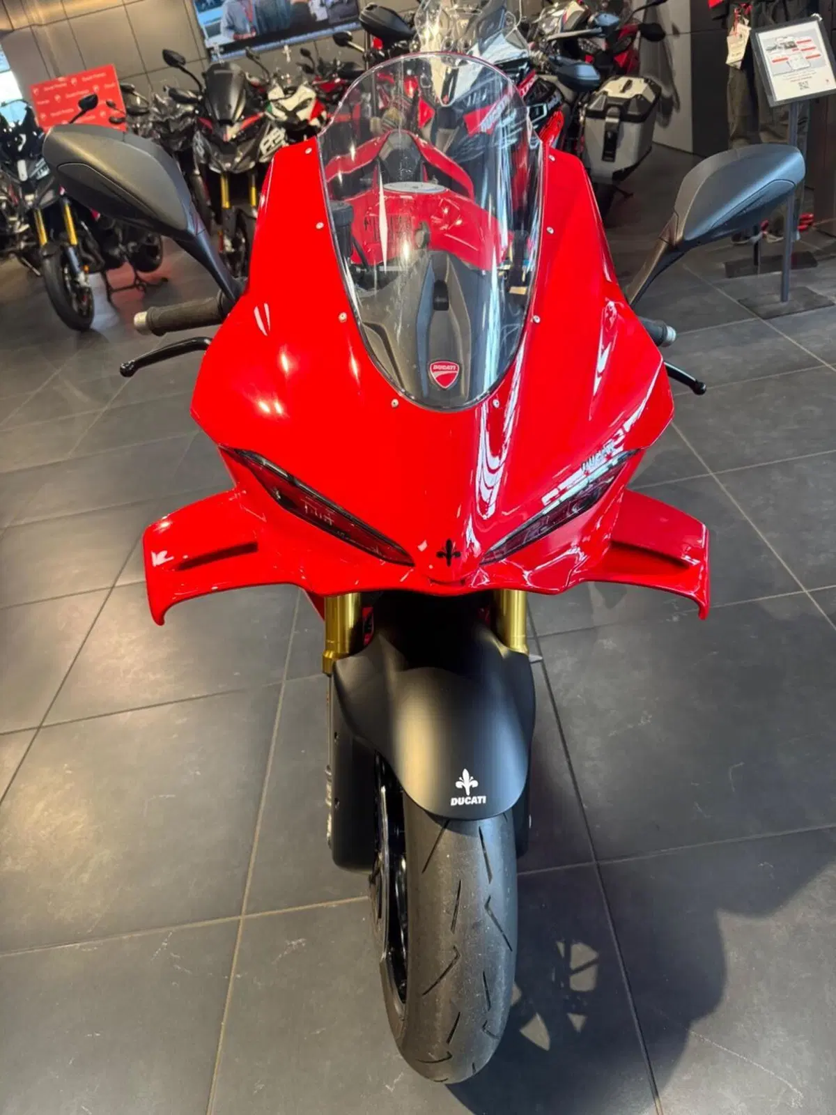 Ducati Panigale V4 S (2025 - 26) (19)