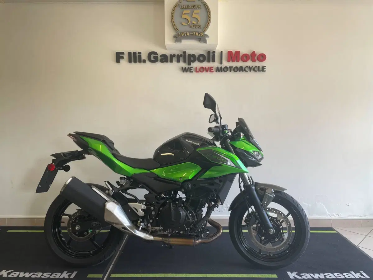 Kawasaki Z 500 (2024 - 26) (2)