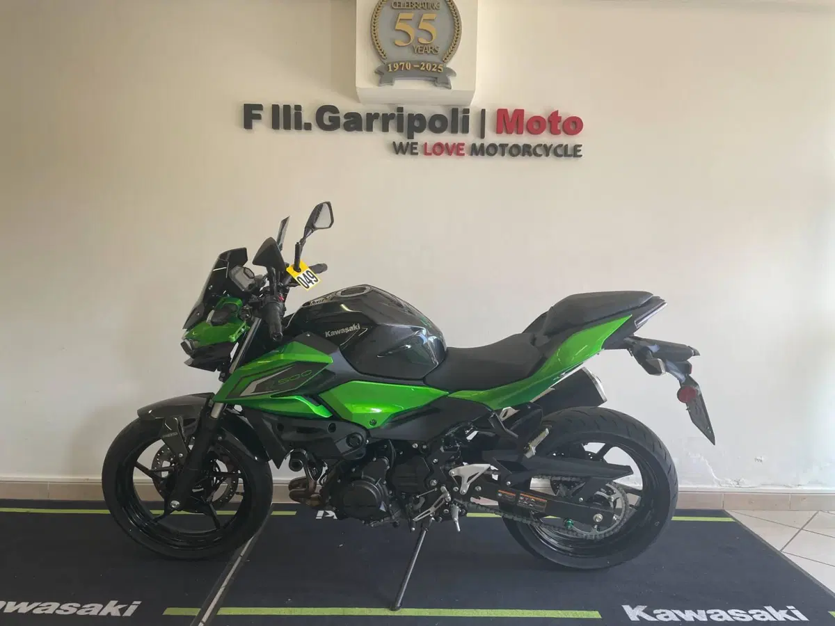 Kawasaki Z 500 (2024 - 26)