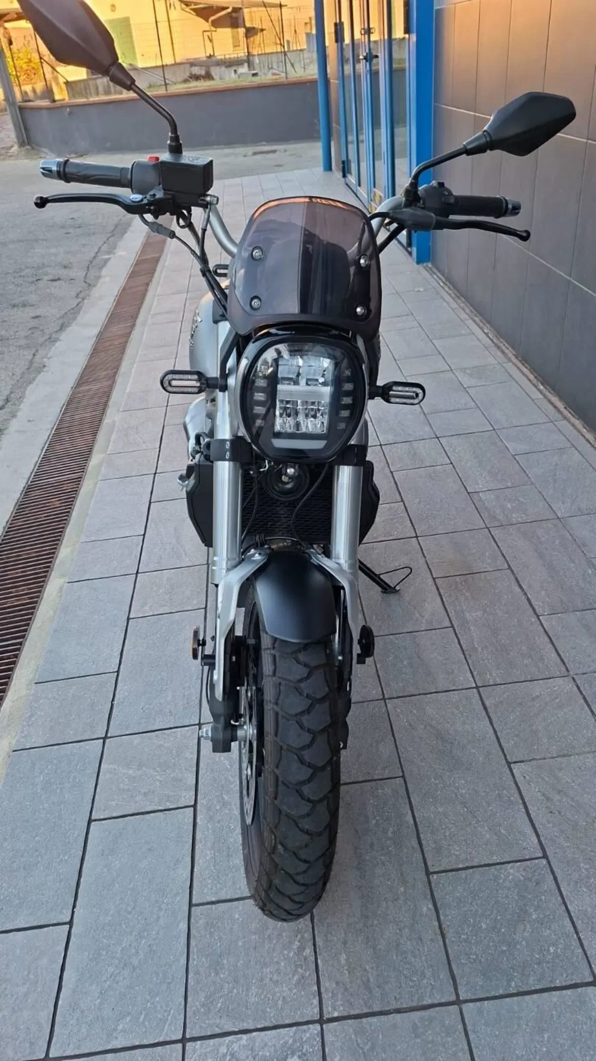 Voge Trofeo 300ACX Scrambler (2021 - 26) (3)