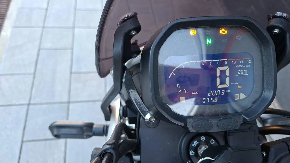 Voge Trofeo 300ACX Scrambler (2021 - 26) (5)