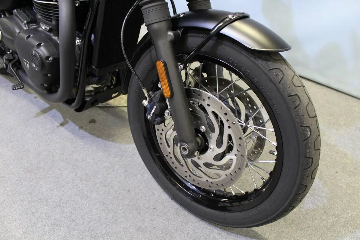 Triumph Bonneville T120 Black (2021 - 25) (9)