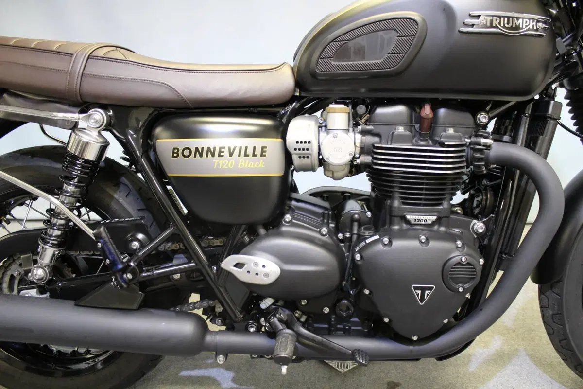 Triumph Bonneville T120 Black (2021 - 25) (11)