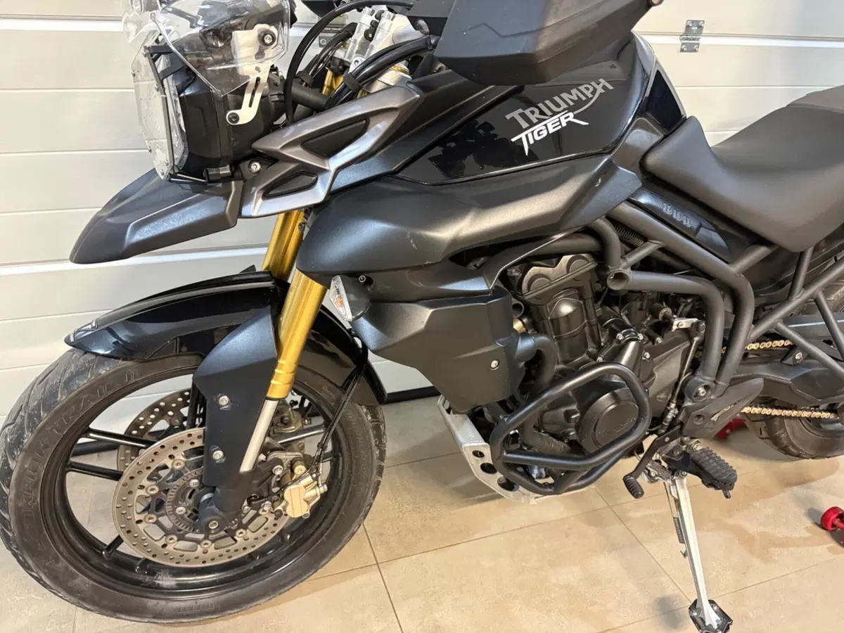 Triumph Tiger 800 ABS (2010 - 14) (8)