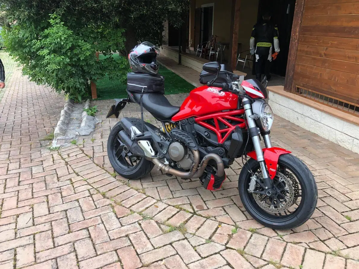 Ducati Monster 1200 (2014 - 16) (9)