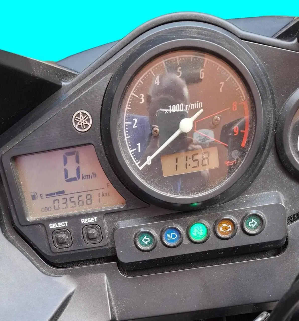 Yamaha TDM 900 (2002 - 14) (4)