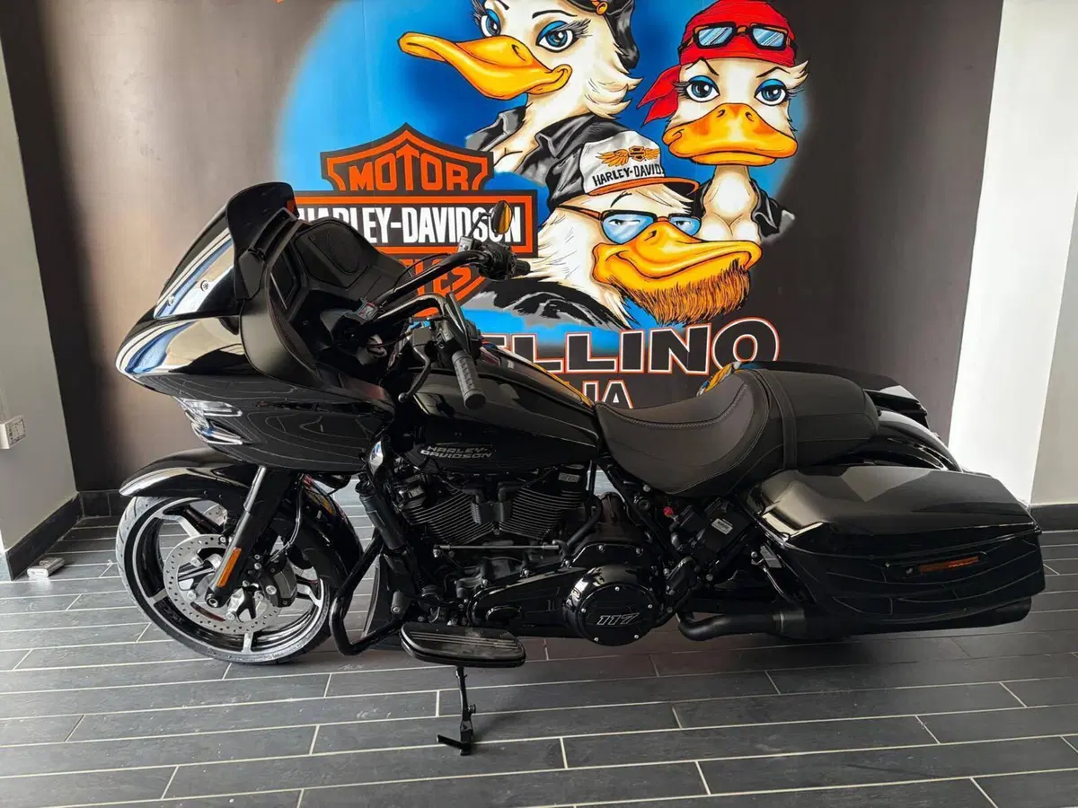 Harley-Davidson Road Glide (2024 - 26) (2)