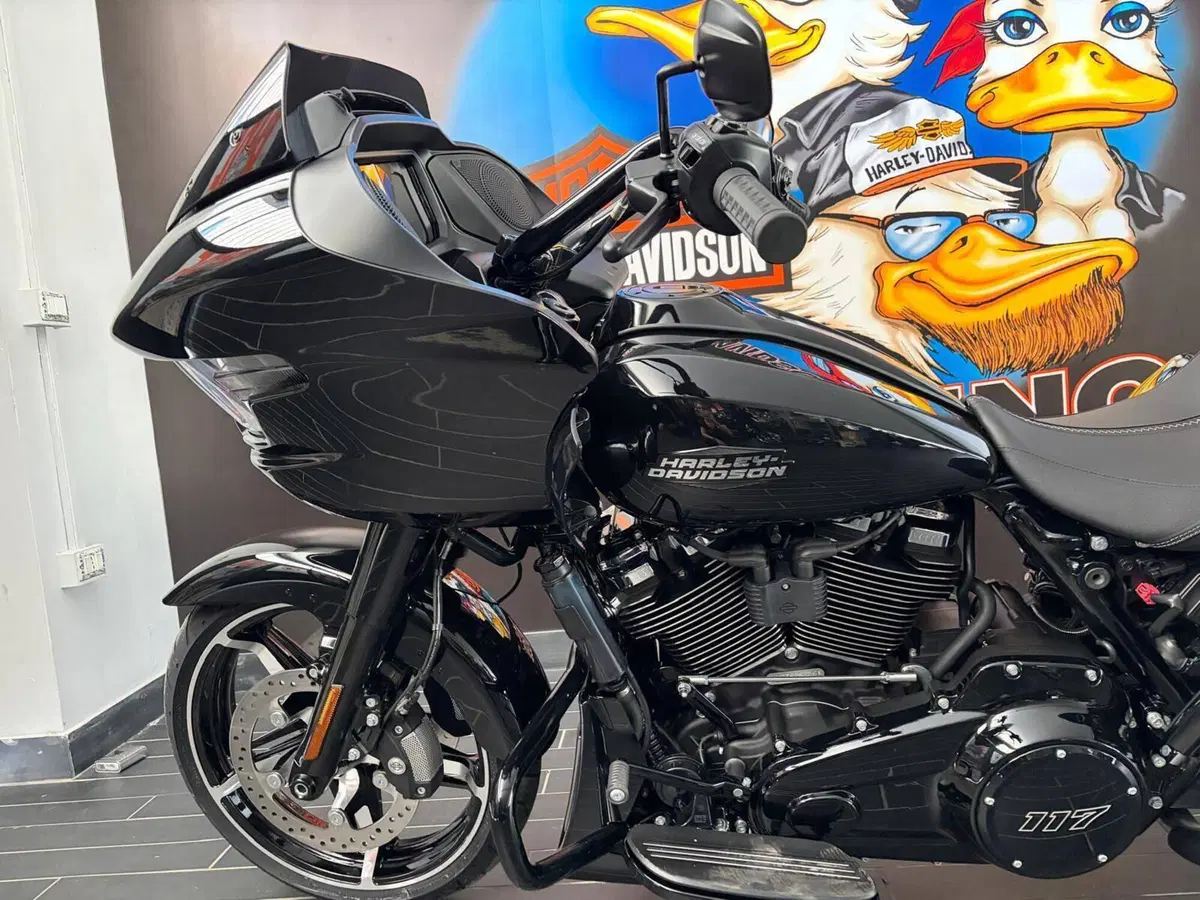 Harley-Davidson Road Glide (2024 - 26) (7)