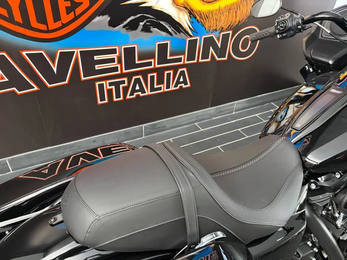 Harley-Davidson Road Glide (2024 - 26) (11)