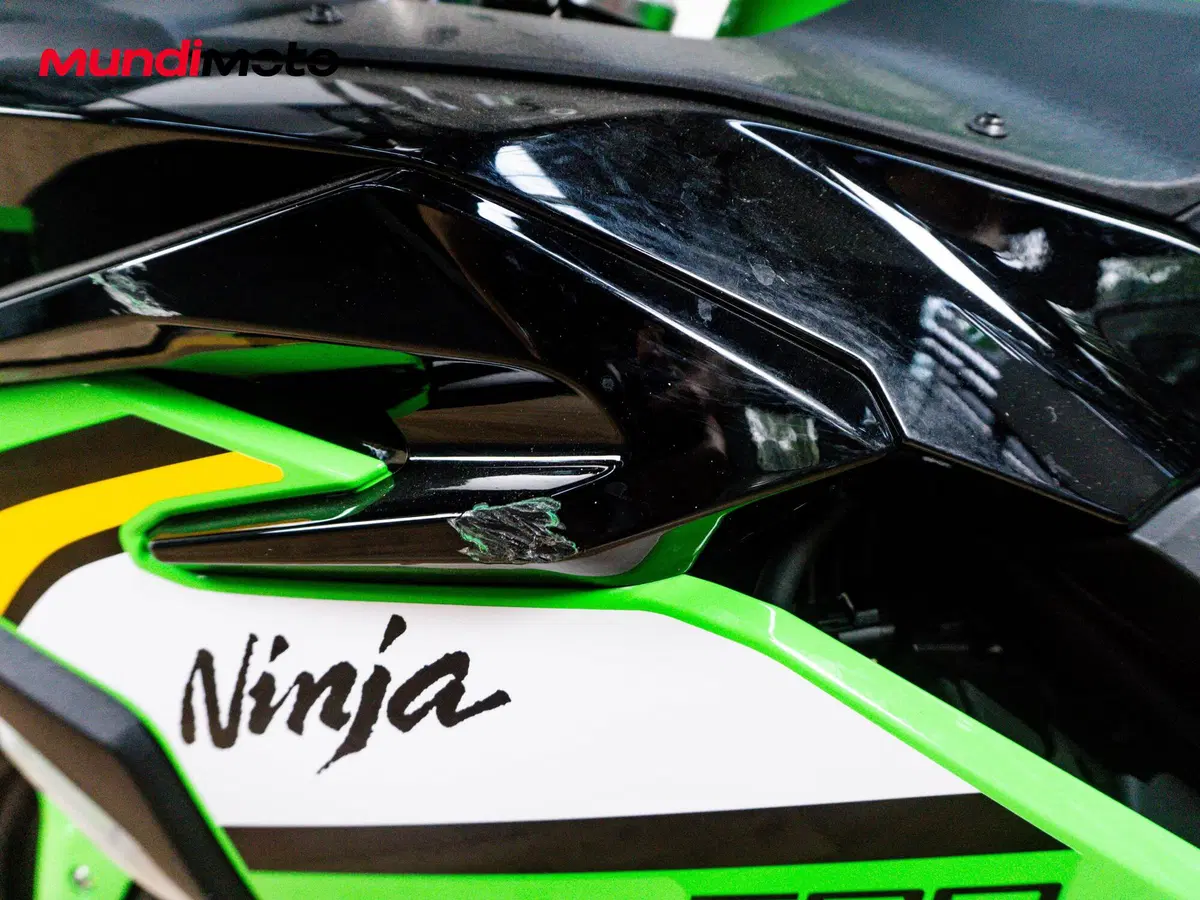 Kawasaki Ninja 500 SE (2024 - 26) (15)