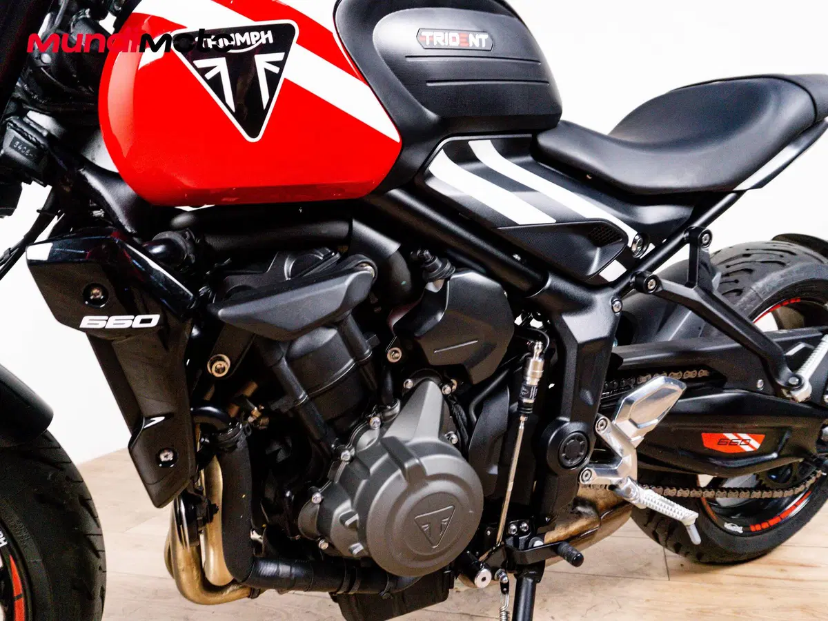 Triumph Trident 660 (2021 - 24) (9)