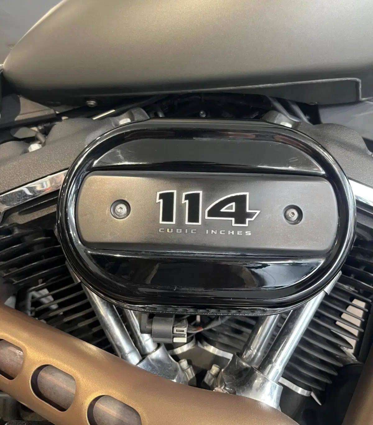 Harley-Davidson 114 Fat Bob (2018 - 20) - FXFBS (4)