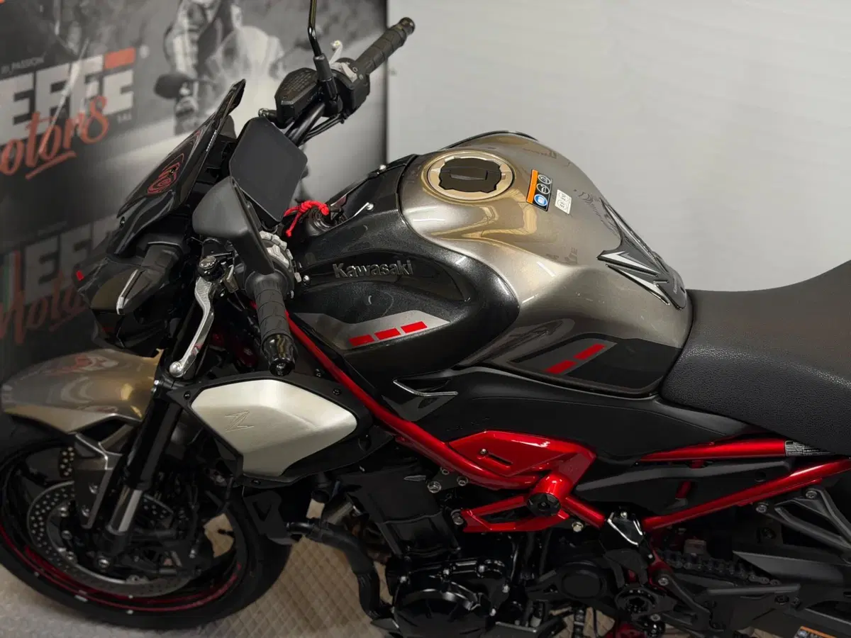 Kawasaki Z 900 (2025 - 26) (10)