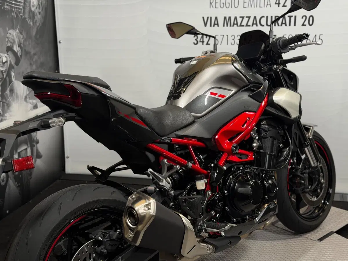 Kawasaki Z 900 (2025 - 26) (12)