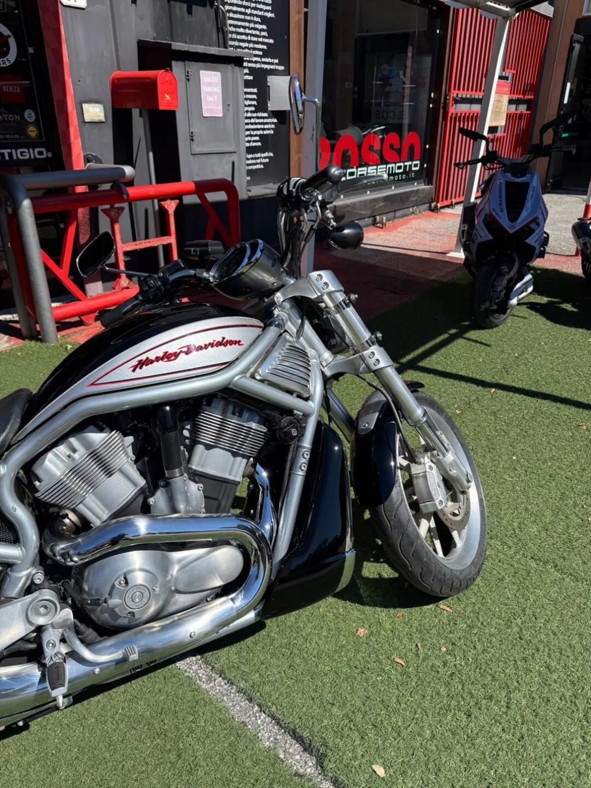 Harley-Davidson 1130 Street Rod (2006 - 07) - VRSCR (2)