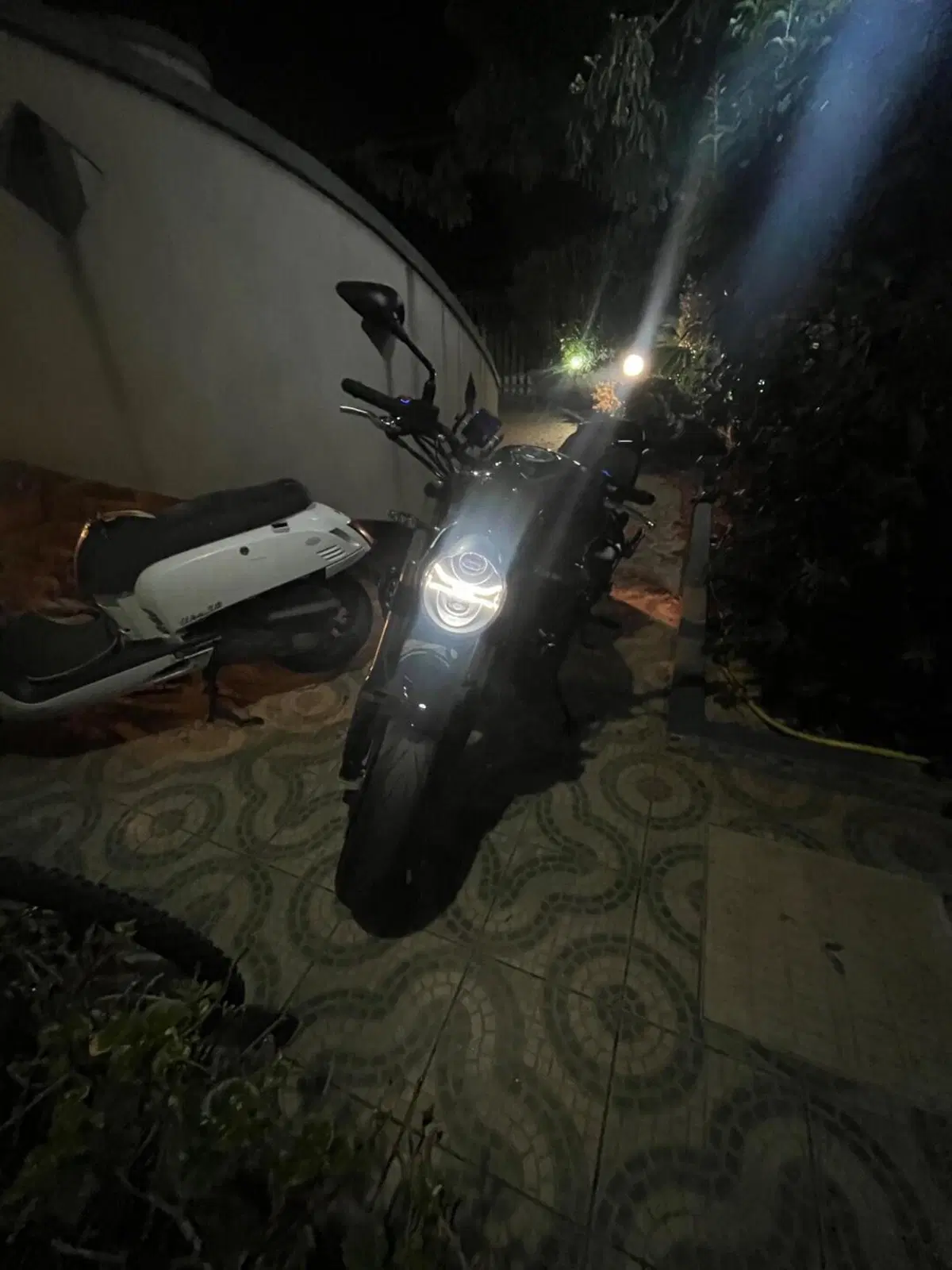 Benelli 752 S (2022 - 25) (8)